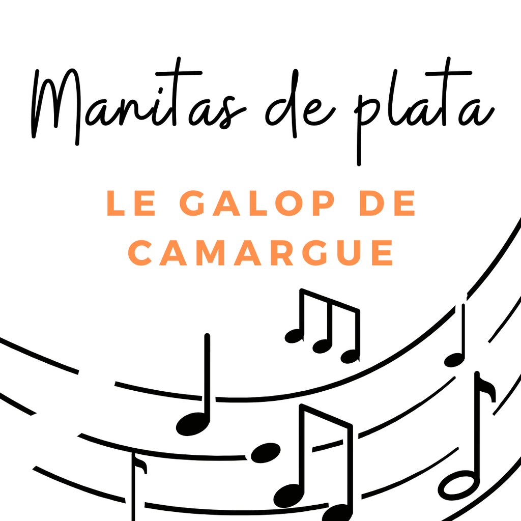 [Tab galop de camargue] Manitas de Plata - Galop de Camargue (Débutant)